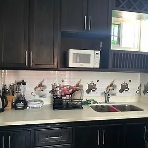 Apartment Remarkable 1-bed In Montego Bay